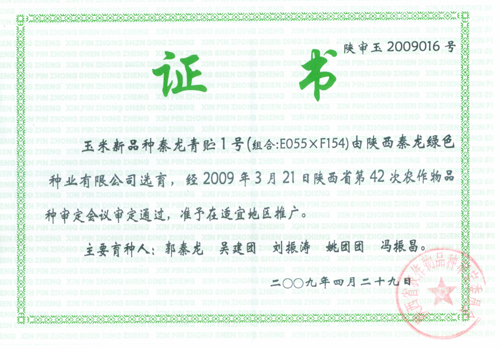 秦龍青貯1號
