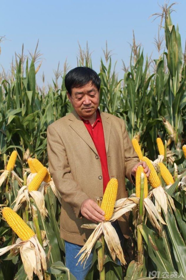 陜西設(shè)立種業(yè)知識(shí)產(chǎn)權(quán)司法保護(hù)基地